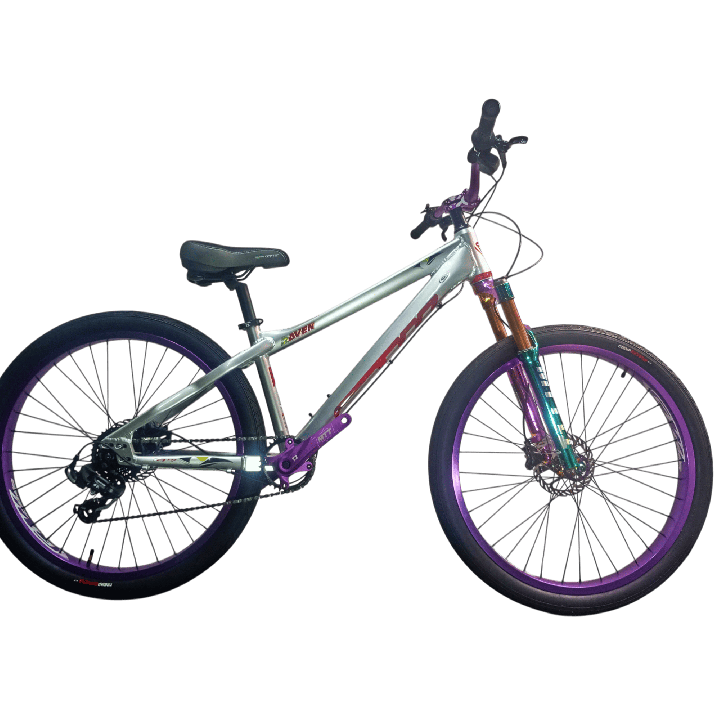 Bicicleta GW Raven Stunt