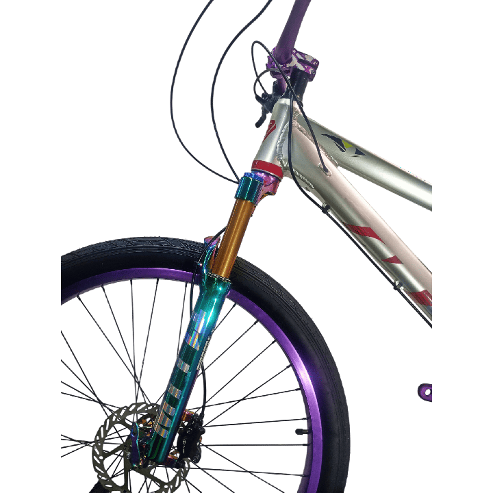 Bicicleta GW Raven Stunt
