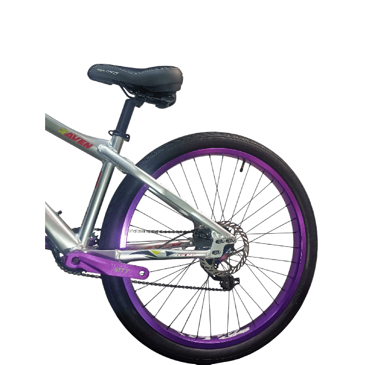 Bicicleta GW Raven Stunt