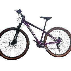 Bicicleta Gw Monkey Rin 29" - Color Morada