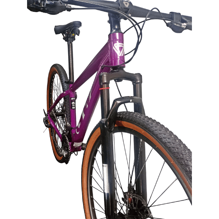 Bicicleta Gw Monkey Rin 29" - Color Morada