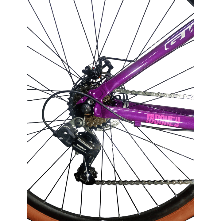 Bicicleta Gw Monkey Rin 29" - Color Morada