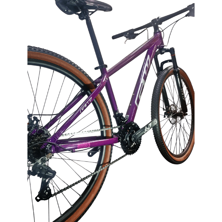 Bicicleta Gw Monkey Rin 29" - Color Morada