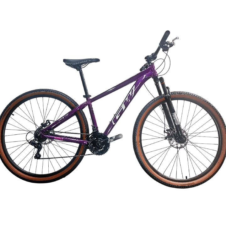 Bicicleta Gw Monkey Rin 29" - Color Morada