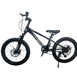 Bicicleta Aries Rin 20" - Color Negra