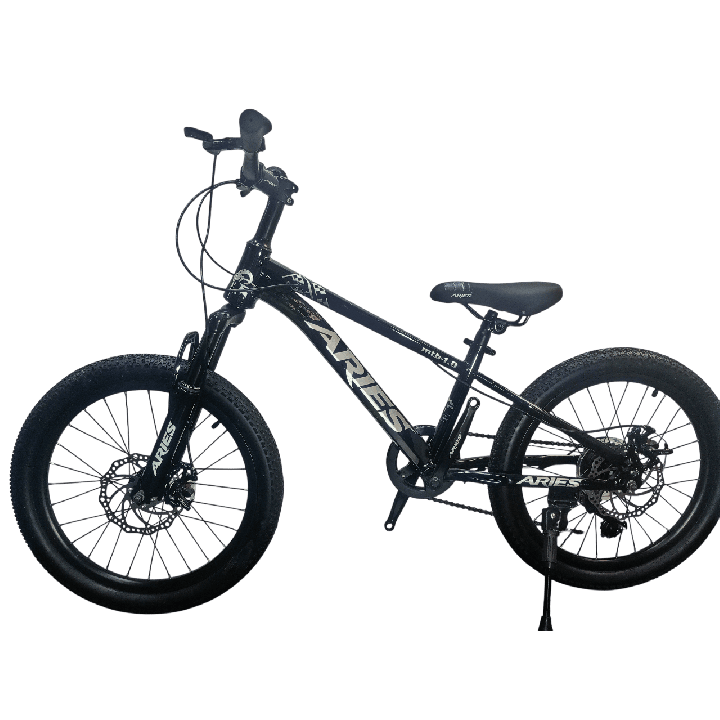 Bicicleta Aries Rin 20" - Color Negra