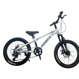 Bicicleta Aries Rin 20" - Color Blanca