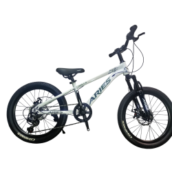 Bicicleta Aries Rin 20" - Color Blanca