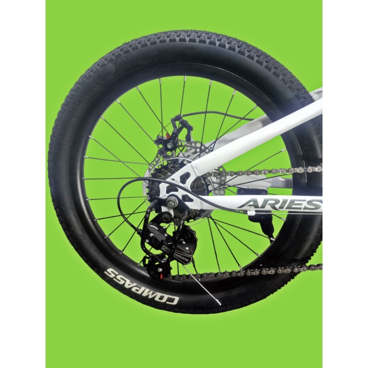 Bicicleta Aries Rin 20" - Color Blanca