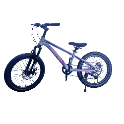 Bicicleta Aries Rin 20" - Color Morado Lila