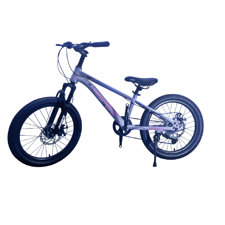 Bicicleta Aries Rin 20" - Color Morado Lila
