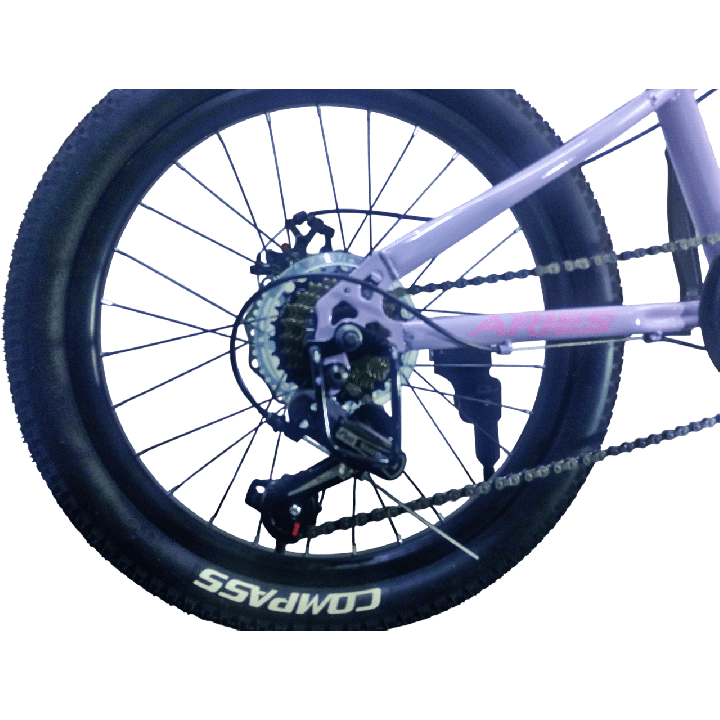Bicicleta Aries Rin 20" - Color Morado Lila