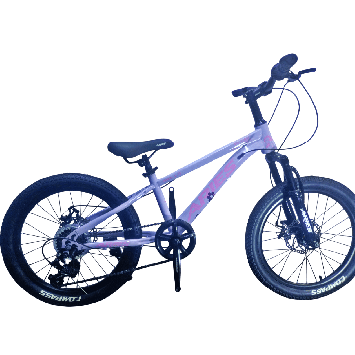 Bicicleta Aries Rin 20" - Color Morado Lila