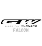 GW Falcon